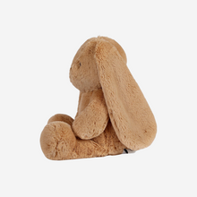 Load image into Gallery viewer, Bailey Carmel Eco-Friendly | Soft Toy | Banjo Bunny
