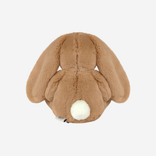 Load image into Gallery viewer, Bailey Carmel Eco-Friendly | Soft Toy | Banjo Bunny
