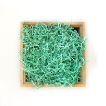 Load image into Gallery viewer, Basic Paper Shred - Mint
