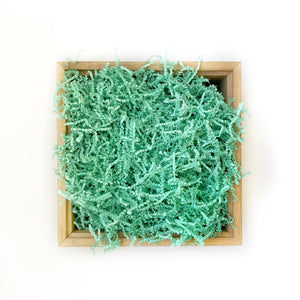 Basic Paper Shred - Mint