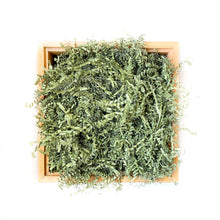 Load image into Gallery viewer, Basic Paper Shred - Olive
