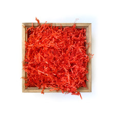 Load image into Gallery viewer, Basic Paper Shred - Orange Crush
