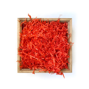 Basic Paper Shred - Orange Crush